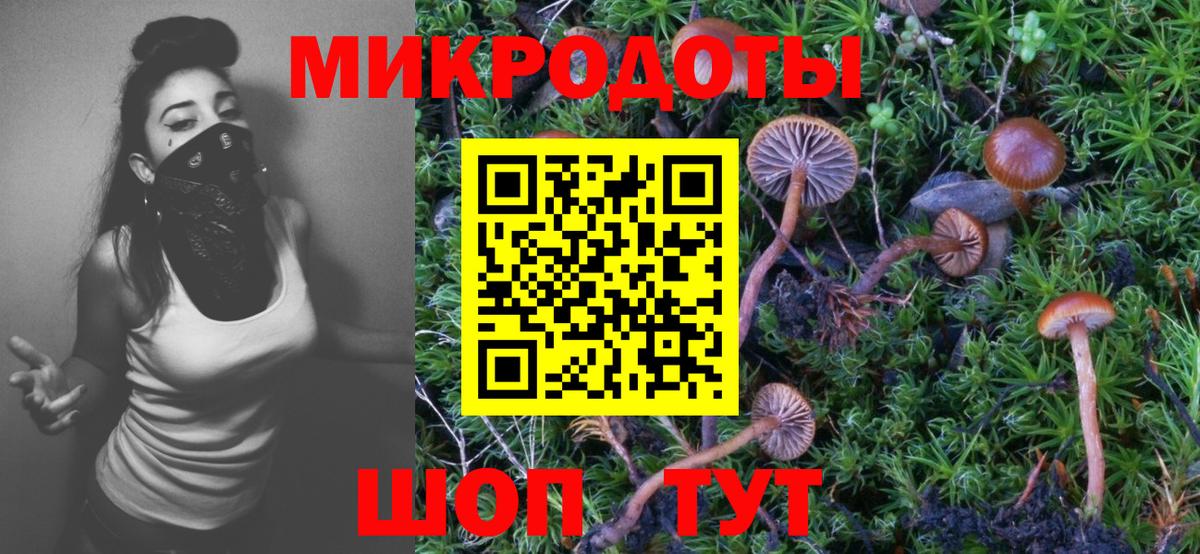 Галлюциногенные грибы GOLDEN TEACHER Клинцы