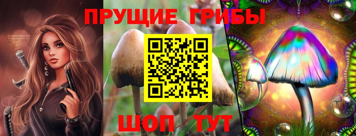 Псилоцибиновые грибы MAGIC MUSHROOMS  Вход с VPN  Галлюциногенные грибы Cubensis  Клинцы 